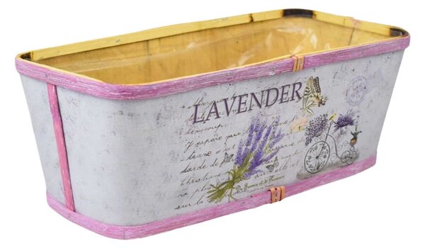 Truhlík Lavender
