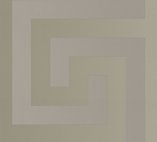 A.S. Création | Vliesová tapeta na zeď VERSACE na zeď 38609-2 | 0,70 x 10,05 m | metalická, šedá