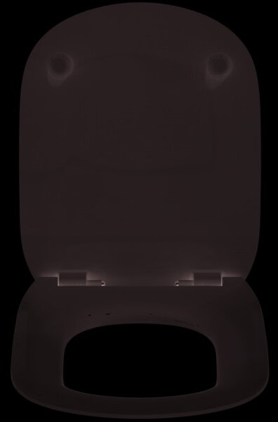 Ideal Standard Tesi - WC sedátko Soft-Close, bílá T352701