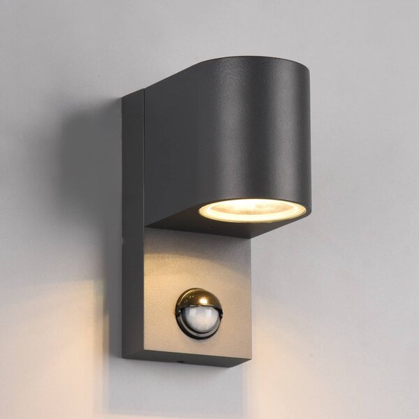 Trio Lighting Venkovní Roya 1 zdroj senzor, kulaté antracit, stmívatelný, Černá, Hliník, Moderní