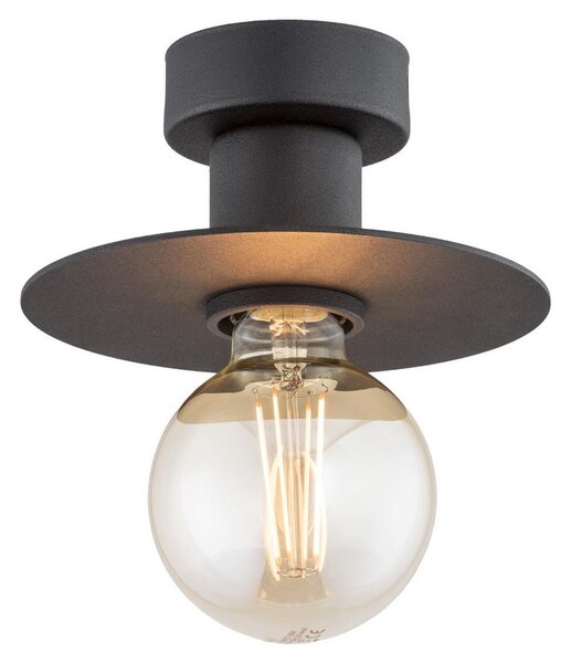 Argon 3882 - Stropní svítidlo CORSO 1xE27/15W/230V černá