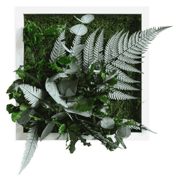 Rostlinný obraz s designem Džungle 22x22