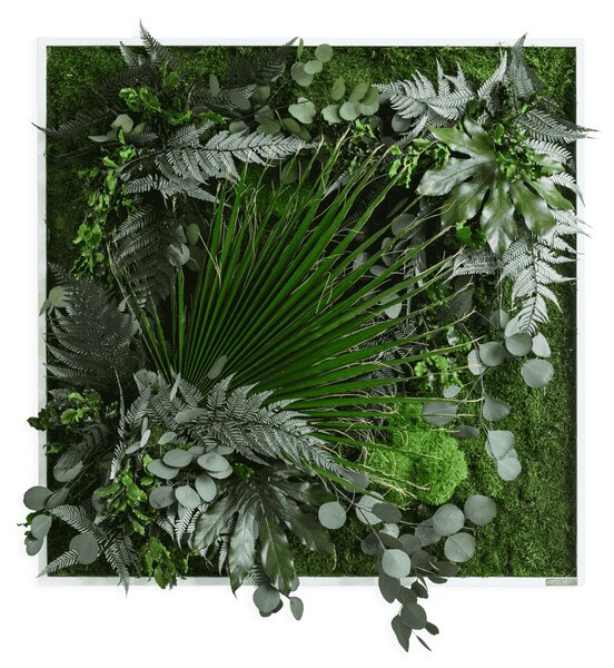 Rostlinný obraz s designem Džungle 80x80