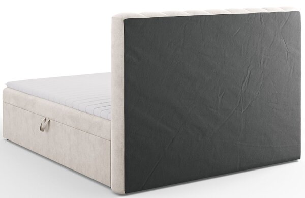 Micadoni Boxspring postel Kelp 160 x 200 cm