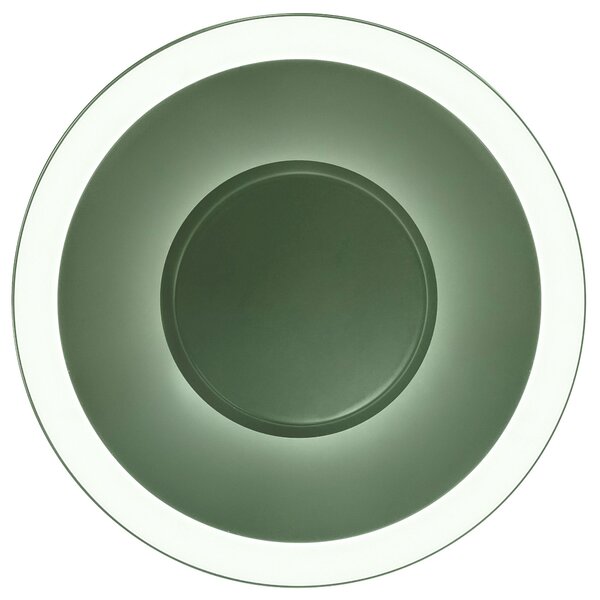 Toolight Toolight, LED stropní svítidlo 40cm, 14W, APP1460, zelená, OSW-04188