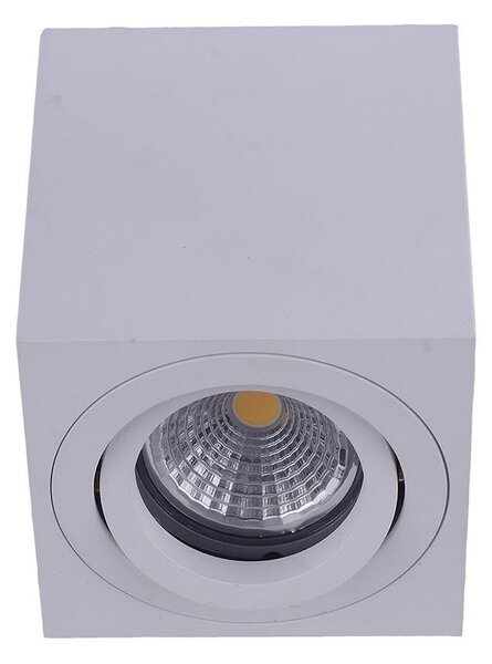 Emithor 48608 - Stropní bodové svítidlo SURFACE 1xGU10/50W/230V
