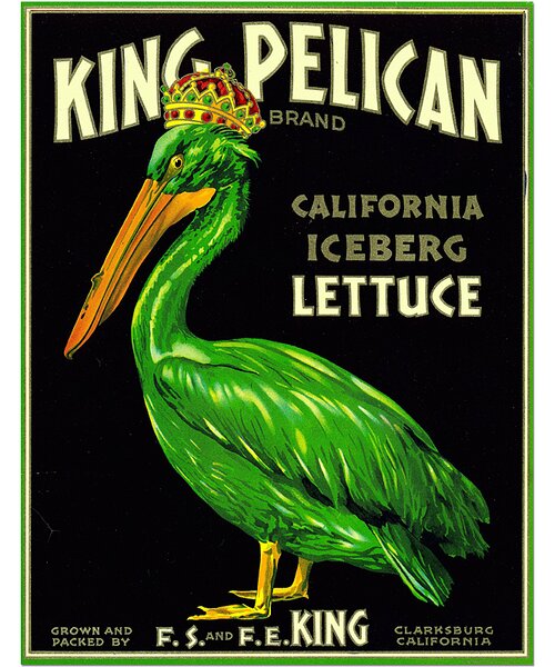 Retro cedule - King Pelican Lettuce