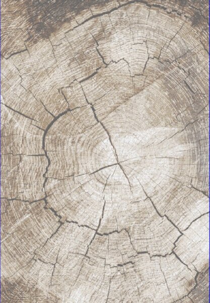 Makro Abra Moderní kusový koberec COMO RE41A Staré Dřevo béžový Rozměr: 140x200 cm
