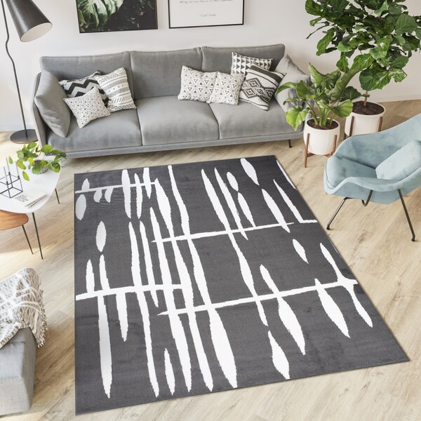 Makro Abra Moderní kusový koberec CHEAP T967A tmavě šedý bílý Rozměr: 130x190 cm
