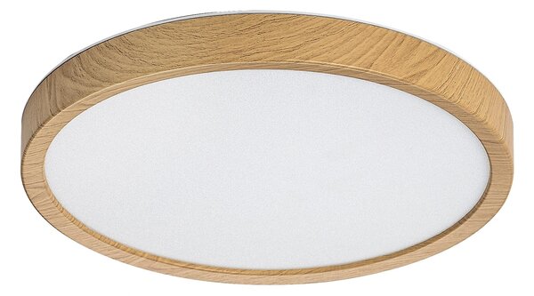 Rabalux MAUREC LED venkovní stropní svítidlo 75082