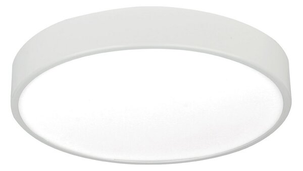 LED Stropní svítidlo LED/12W/230V
