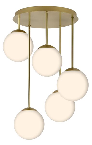 Toolight Rea, LAMP APP1818-5CPR GOLD, OSW-00668