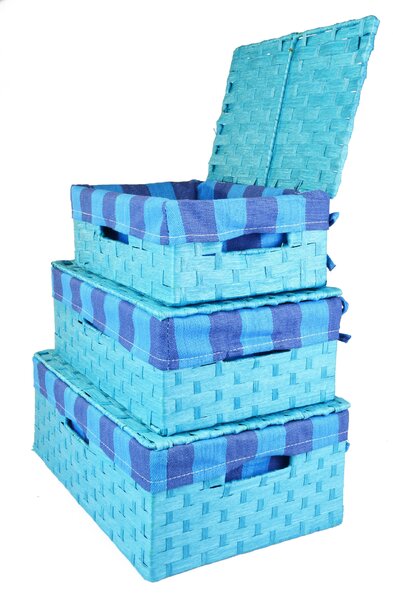 Vingo Úložný box s víkem světle modrý Rozměry (cm): 36x24, v. 13