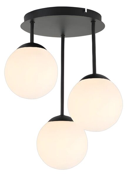 Toolight Rea, LAMP APP1815-3CPR BLACK, OSW-00665