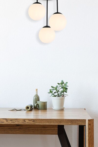 Toolight Rea, LAMP APP1815-3CPR BLACK, OSW-00665