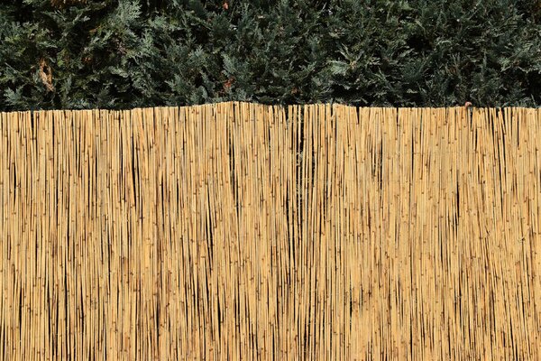 Vingo Rákosová zástěna na plot Výška plotu: 180 cm, Délka plotu: 600 cm