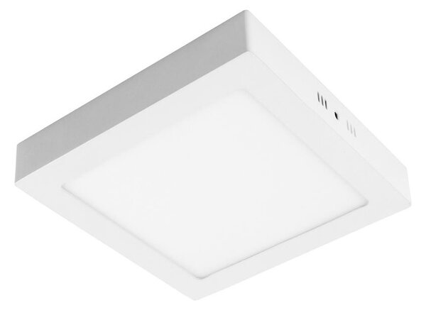 LED Stropní svítidlo GERRY LED/24W/230V 3000K