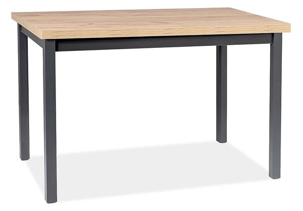 Rozkládací jídelní stůl 120(160)x68 ANTHONY - dub artisan / černý