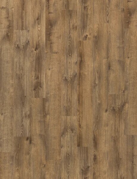 Vinylová podlaha lepená Moduleo Roots 55 EIR Standard - Galway Oak 87832