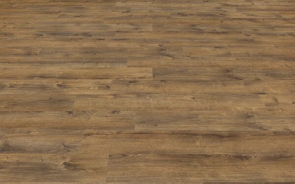 Vinylová podlaha lepená Moduleo Roots 55 EIR Standard - Galway Oak 87832