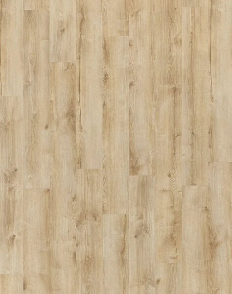 Vinylová podlaha lepená Moduleo Roots 55 EIR Standard - Galway Oak 87372