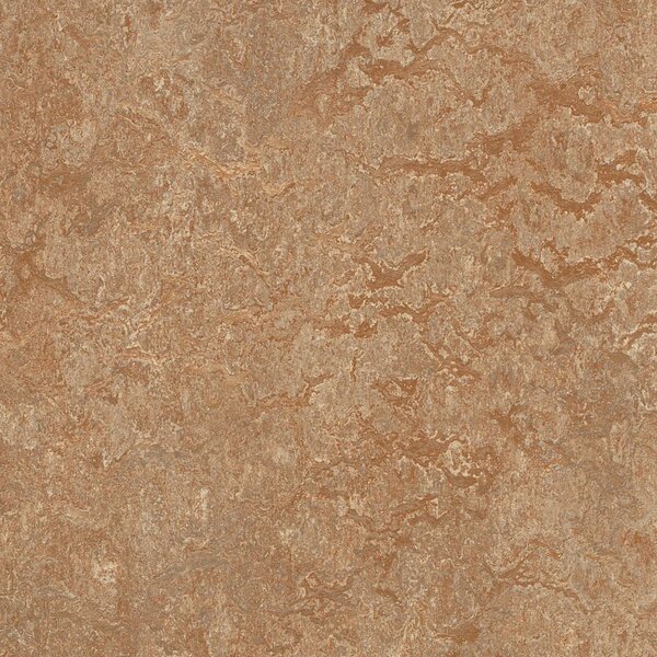 FORBO Marmoleum marbled real Shitake 3233 - 2 bm