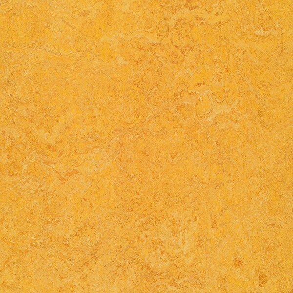 FORBO Marmoleum marbled real Dandelion 3225 - 2 bm