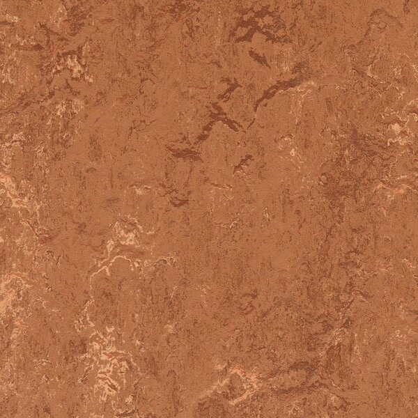 FORBO Marmoleum marbled real Rust 2767 - 2 bm