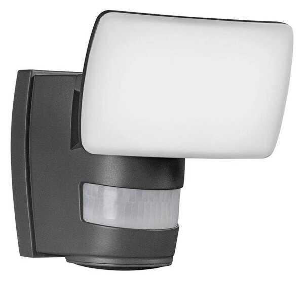 Ledvance - LED Venkovní nástěnný reflektor se senzorem FLOOD LED/24W/230V IP44 P225207