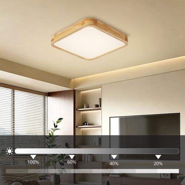 Brilagi - LED Stmív. svítidlo WOODLINE SQUARE LED/48W/230V dub 40x40 cm + DO