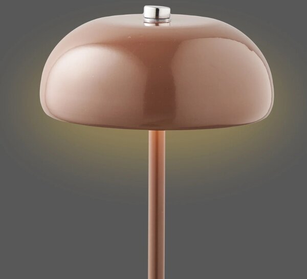Nordic Living Hnědá kovová nabíjecí stolní LED lampa Margon
