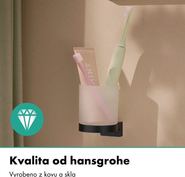 Hansgrohe AddStoris S - Nádobka na ústní hygienu, černá matná 41769670