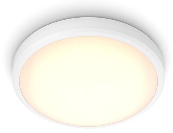 Philips - LED Koupelnové stropní svítidlo BALANCE LED/17W/230V IP44 P4565