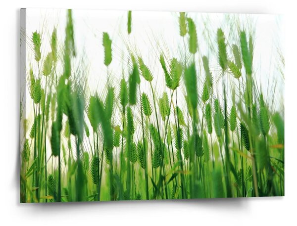 Sablio Obraz Klasy - 150x110 cm