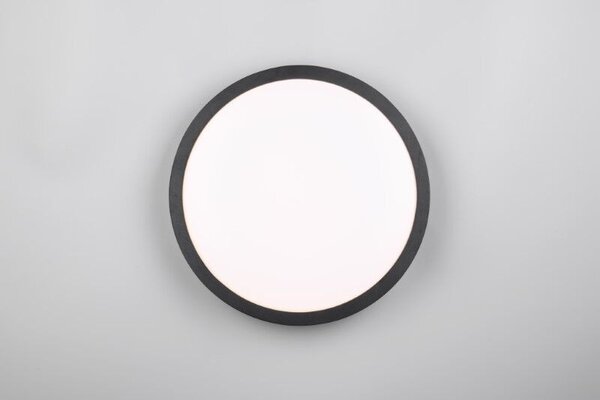 Trio T647410102 LED přisazené stropní svítidlo ISEO | 24W integrovaný LED zdroj | 2500lm | 3000K