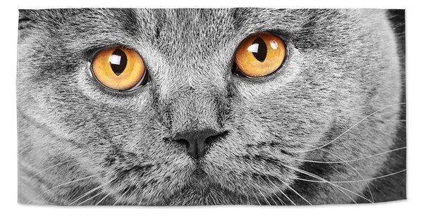 Sablio Ručník Kočičí pohled - 30x50 cm