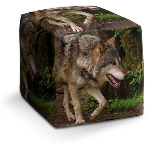 Sablio Taburet Cube Vlk - 40x40x40 cm