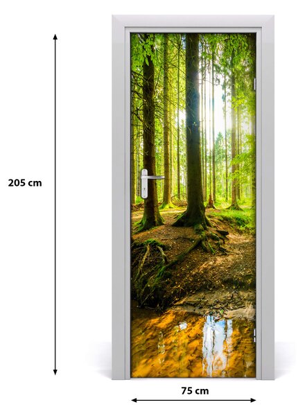Fototapeta na dveře samolepící slunce v lese 75x205 cm