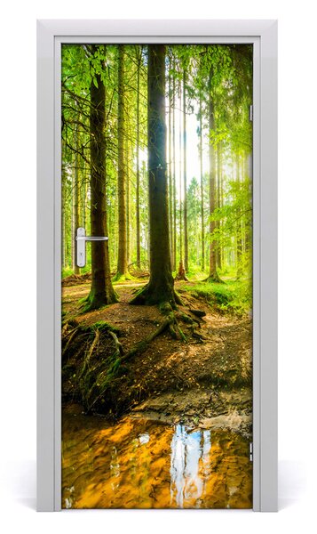 Fototapeta na dveře samolepící slunce v lese 75x205 cm