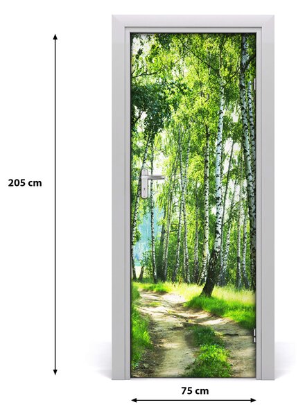 Fototapeta na dveře břízový les 75x205 cm