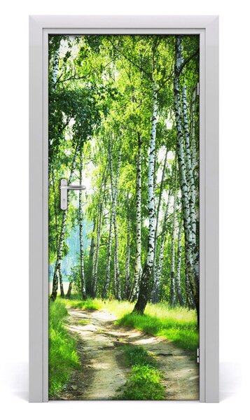 Fototapeta na dveře břízový les 75x205 cm