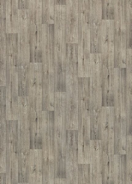 Breno PVC GREENLINE Sand Oak 0401 – šedé dřevo, šíře 400 cm