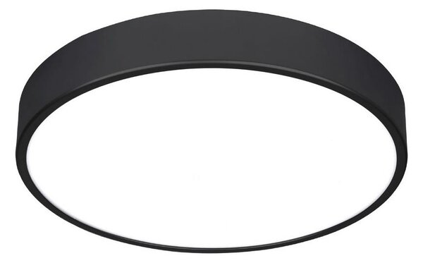 LED Stropní svítidlo TAURUS-R LED/12W/230V