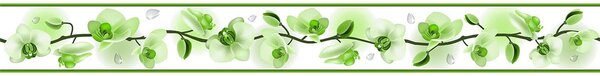 Bordura na zeď samolepicí - Květ orchideje zelený