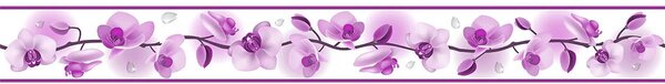 Bordura na zeď samolepicí - Květ orchideje fialový