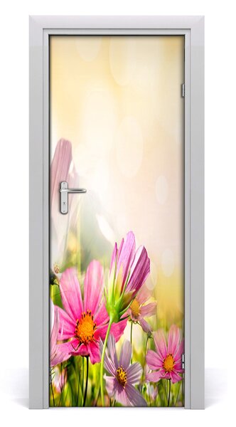 Fototapeta na dveře Polní květiny 75x205 cm
