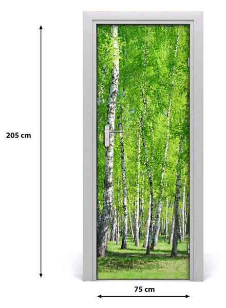 Fototapeta na dveře samolepící břízový les 75x205 cm