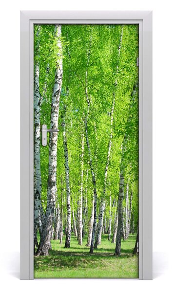 Fototapeta na dveře samolepící břízový les 75x205 cm