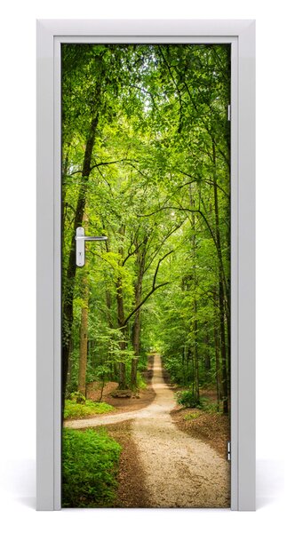 Fototapeta na dveře samolepící stezka v lese 75x205 cm