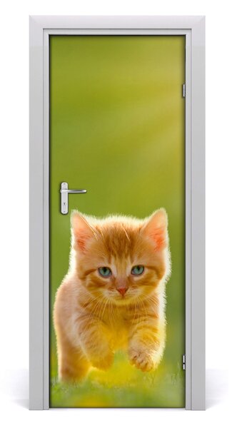 Samolepící fototapeta na dveře Rudá kočka 75x205 cm